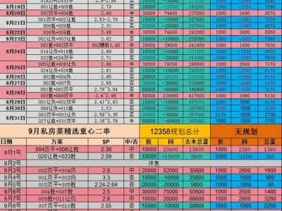 开云体育官网-拉齐奥客场取分，保住欧战资格