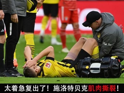 开云体育官网-莱比锡红牛士气高涨，迎来连胜