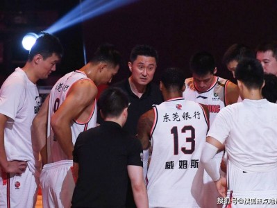 开云体育官网-南美洲杯赛开战，巴西队誓言捍卫荣誉